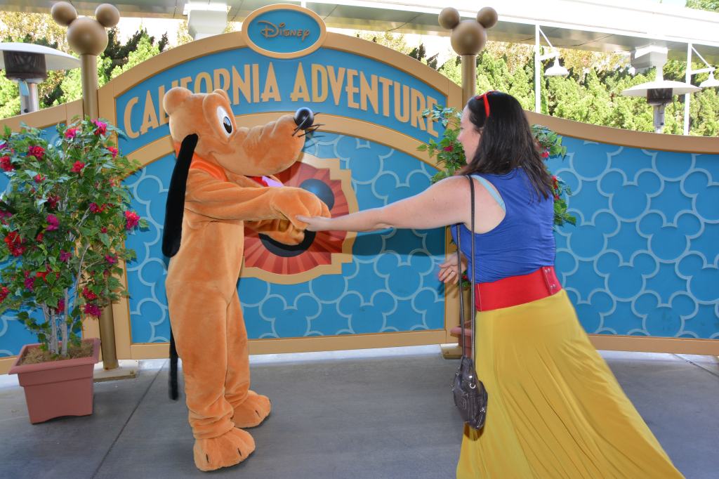 82479529_167080411_dsnyres-base_dsnyloc-reg