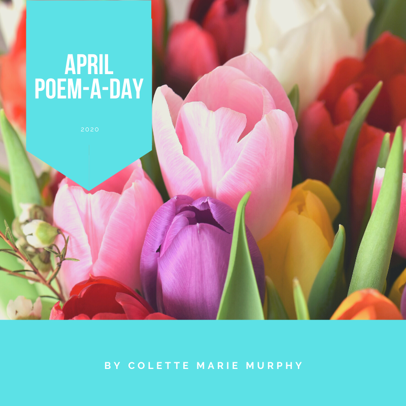 APRPAD 2020 –&nbsp;Selections